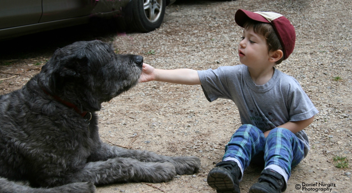 Boy meets dog