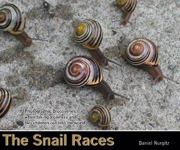 The Snail Racs - Photography Book