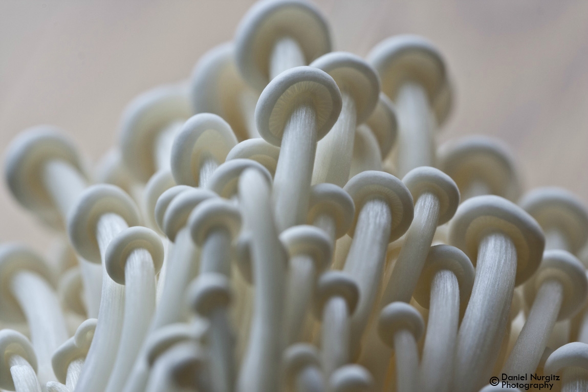 Enoki Mushrooms