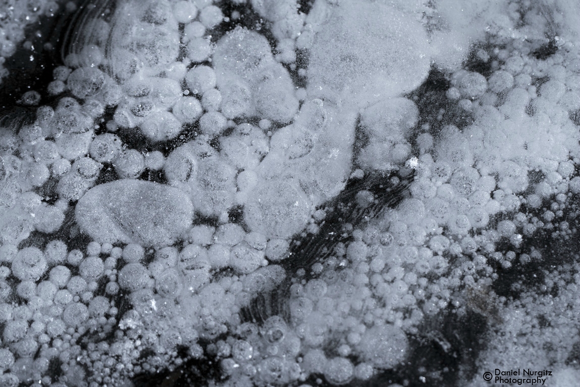 Air bubbles trapped in a frozen lake