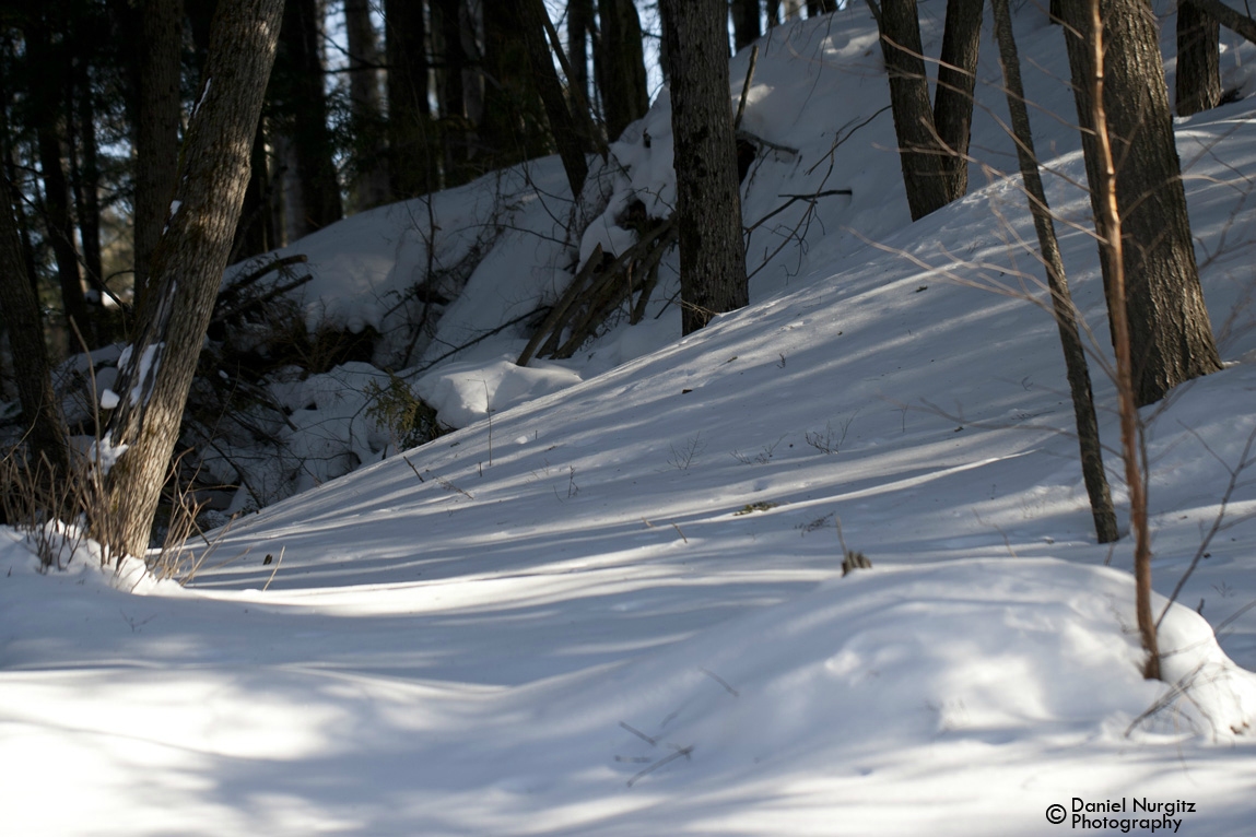 Snowy slopes