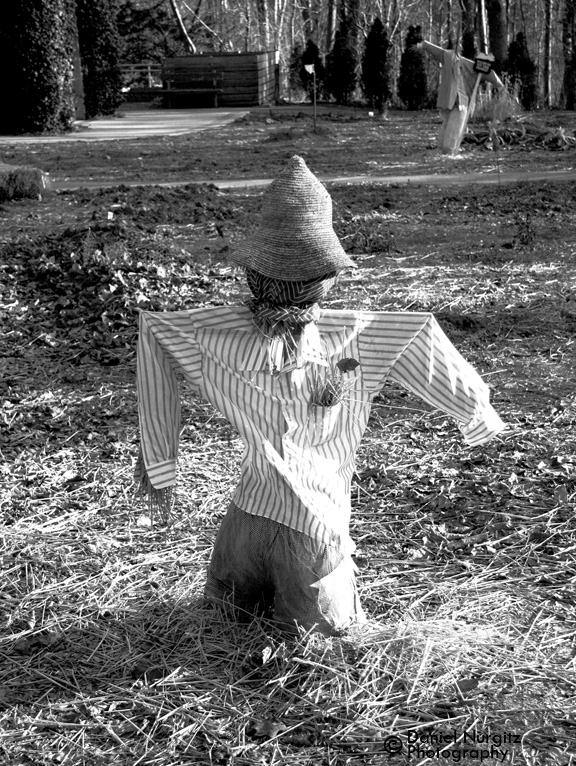 Scarecrow - Edward Gardens, Toronto